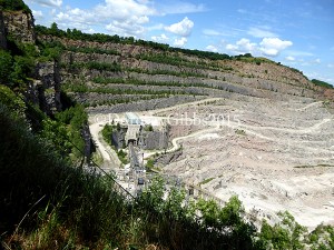 And the big surprise the garden overlooks the working quarry! There are seats here too allowing one to sit and watch the wildlife