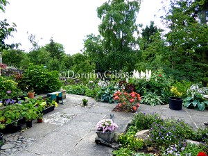 A patio area with many pots near the potting shed. 