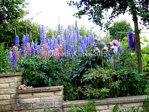 Walking down from the house